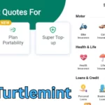Turtlemint Kya Hai Puri Jankari