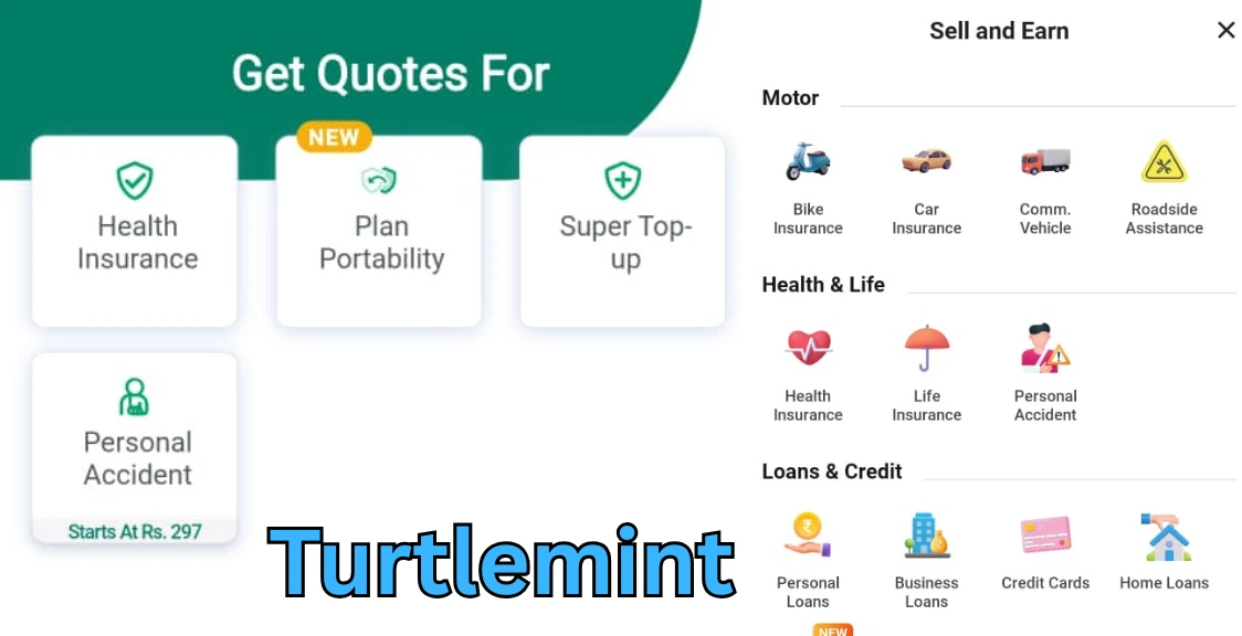 Turtlemint Kya Hai Puri Jankari